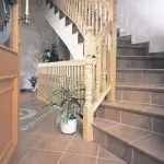 Apa jubin untuk memilih untuk tangga di rumah: jenis bahan menghadap