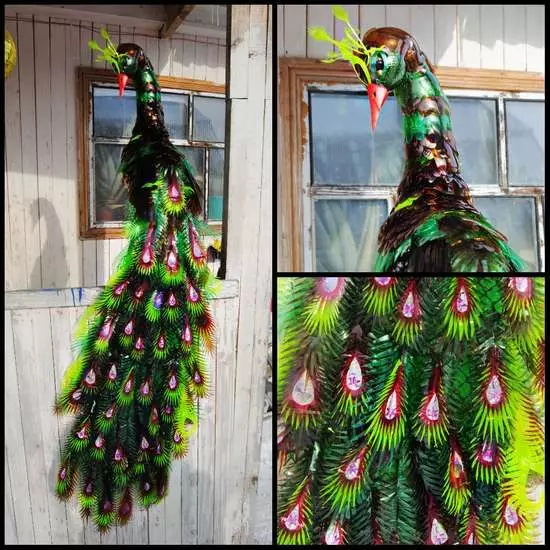 Peacock fagu e faia oe lava: Master vasega ma laasaga-i-sitepu faatonuga