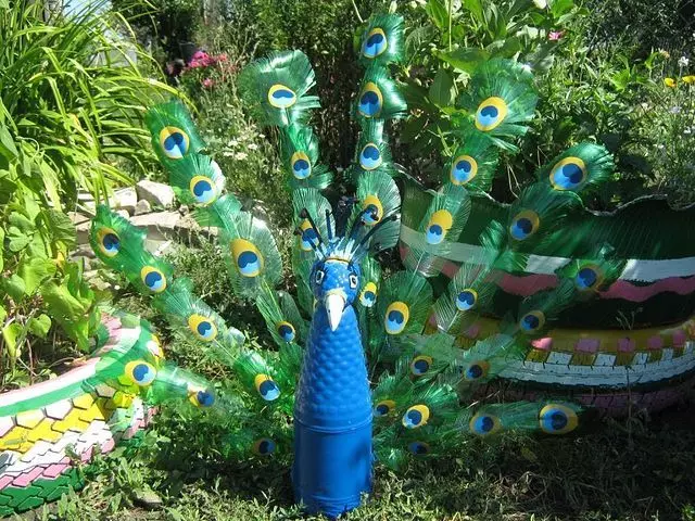 Peacock buteliai tai padaryti patys: meistriškumo klasė su žingsnis po žingsnio instrukcijas