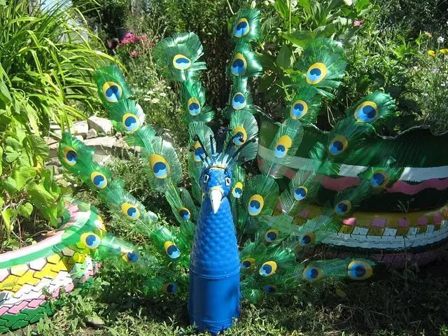 Peacock Bottles DO ինքներդ դա. Վարպետության դաս, քայլ առ քայլ հրահանգներով