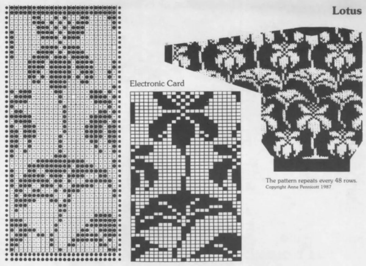Cov qauv zaub thiab ornaments nrog knitting schemes