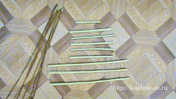 Tenun Caskets dari Willow untuk Pemula: Cara Menenun dengan Kelas Master dan Tutorial Video