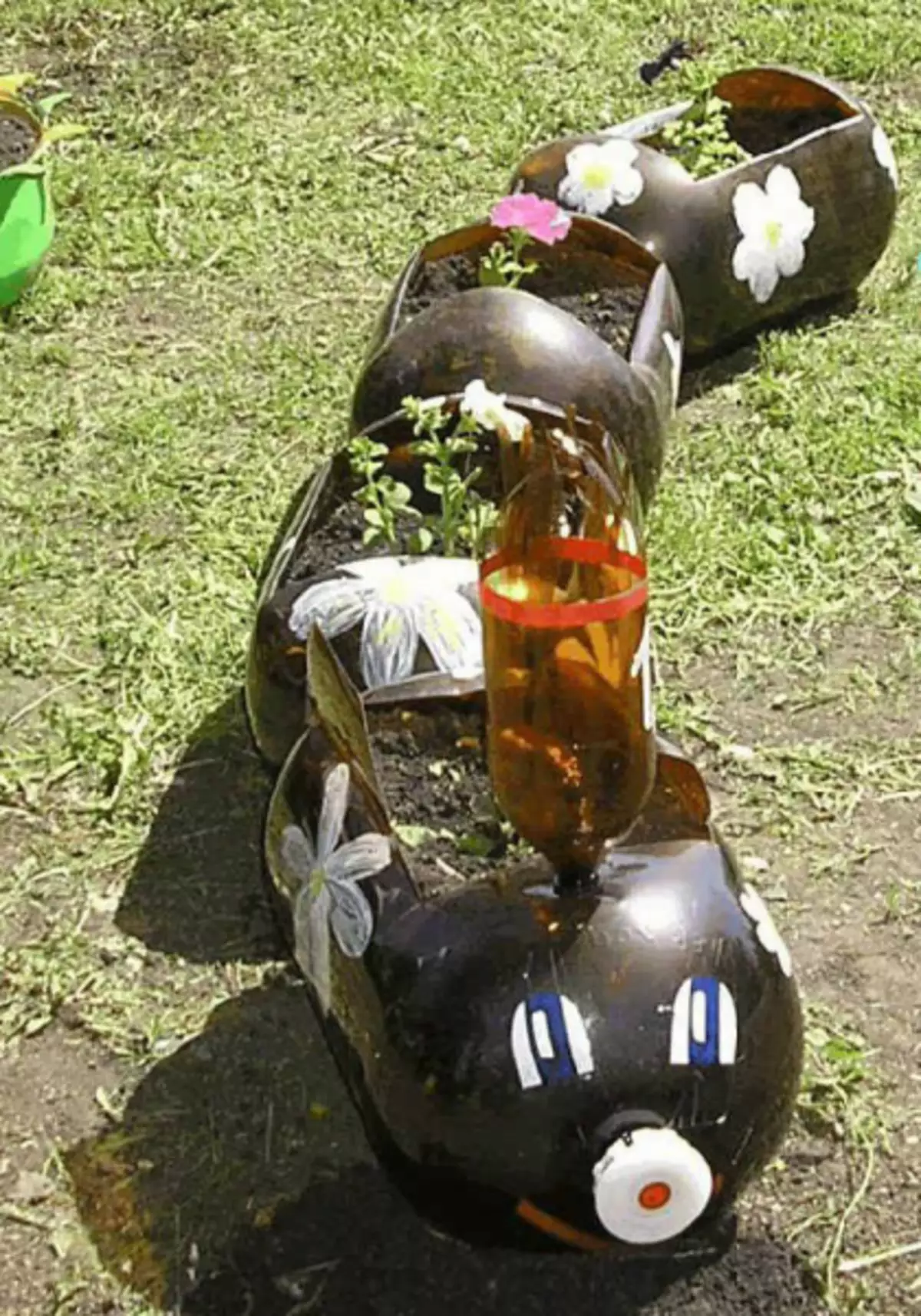 Bottiglie di plastica per giardino con foto e video