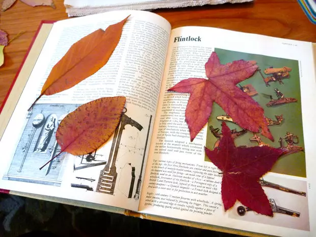 Panel from leaves do it yourself on the subject of autumn with photos and video