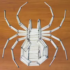 Spider Do It Yourself op in web: Masterklasse mei foto's en fideo