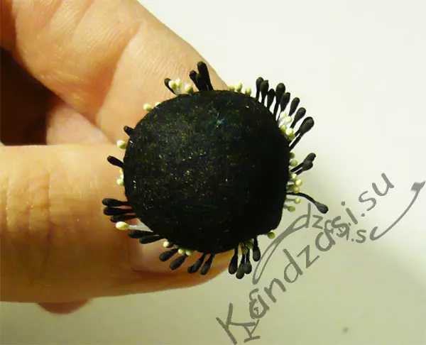 Ko'pomiran anemone: Andoza va video bilan master-klass