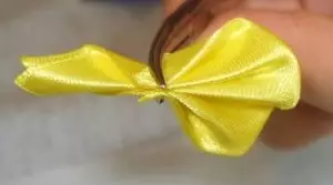 来自缎带的蝴蝶花：主课程与照片和视频