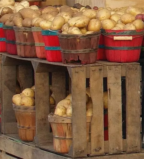 Hộp đựng khoai tây trên ban công với bàn tay của chính họ (ảnh)