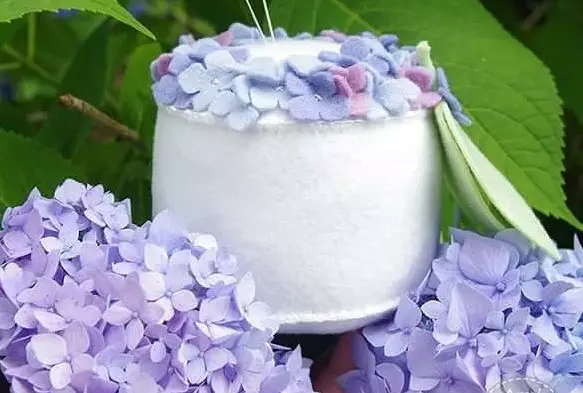 Invutike kuva wumva ufite indabyo za hydrangea