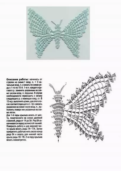 钩针编织相关的蝴蝶 - 最好的描述方案和主课程