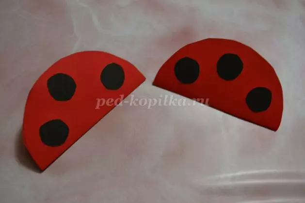 Ladybugs'i aplikatsioon värvilisest paberist fotode ja videoga