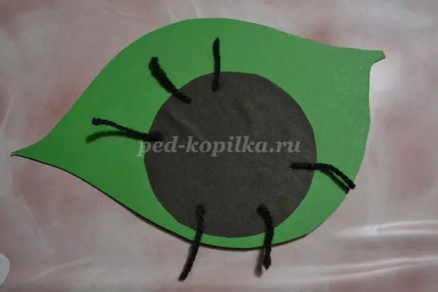 Fotoğraf ve video ile renkli kağıttan ladybugs aplike