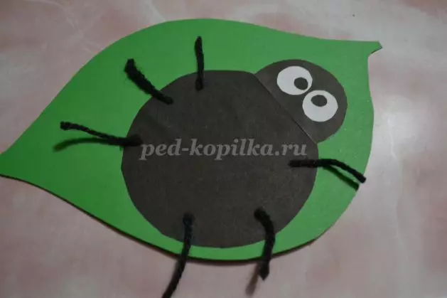 Ladybugs aplikācija no krāsaina papīra ar fotoattēliem un video