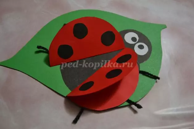 Applique e ladybugs nga letër me ngjyrë me foto dhe video