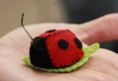 Applique di coccinelle da carta colorata con foto e video