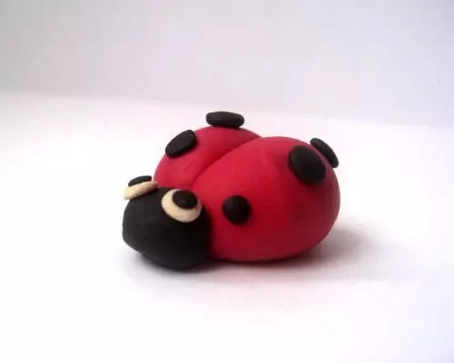 Applique ya LadyBugs kuva impapuro zifite amabara hamwe namafoto na videwo