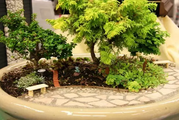 लघुचित्र में उद्यान: अपने हाथों के साथ मिनी-बगीचे कैसे बनाएं और वे क्या हैं