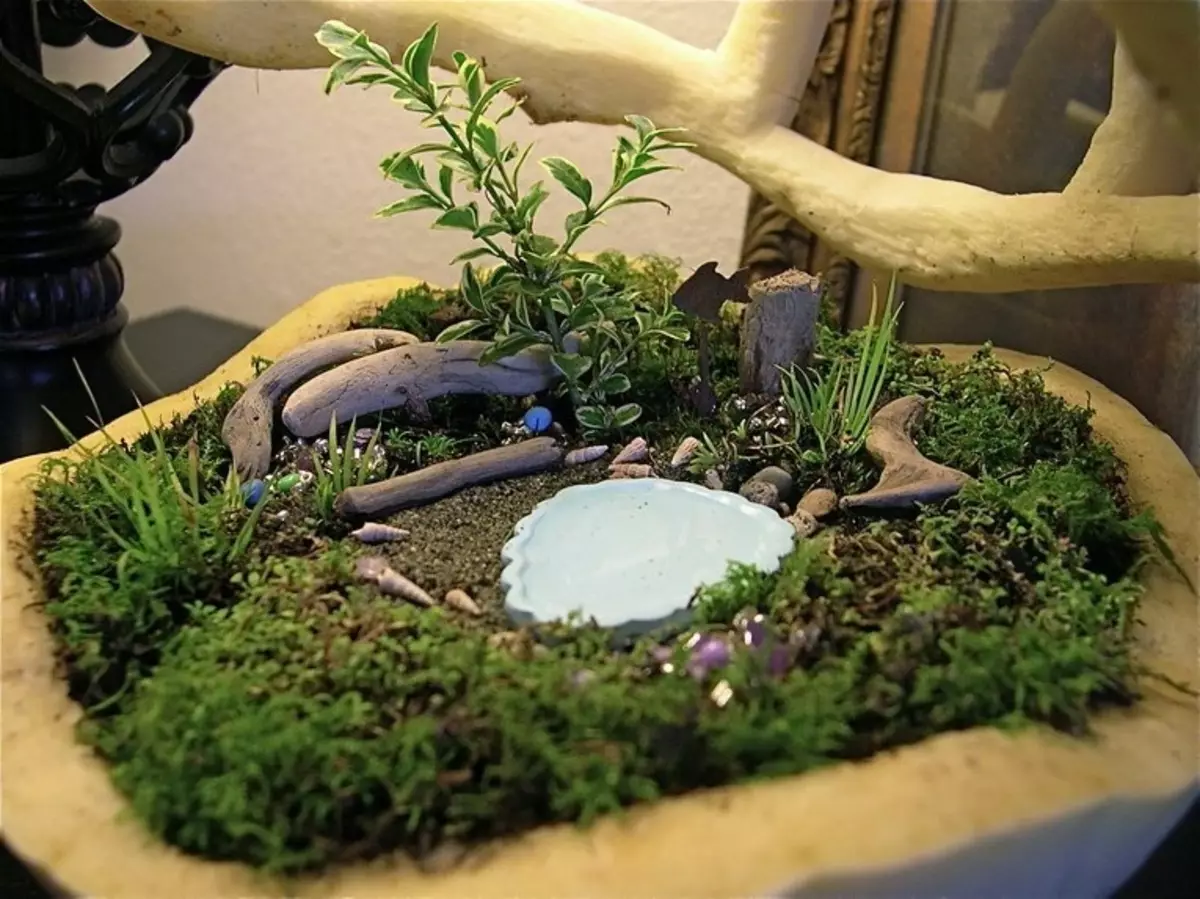 Trädgårdar i miniatyr: hur man gör en mini-trädgård med egna händer och vad de är