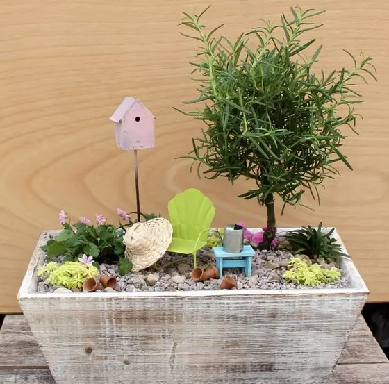 Градини во минијатура: како да направите мини-градина со свои раце и што се