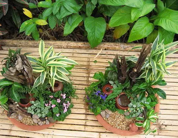 Vrtovi u minijaturi: Kako napraviti mini vrt sa svojim rukama i onome što su