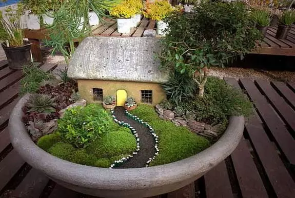 Grădinile în miniatură: Cum să faci o mini-grădină cu mâinile tale și ce sunt