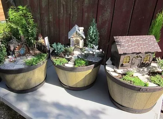 Ogrody w miniaturze: jak zrobić mini ogród z własnymi rękami i czym są