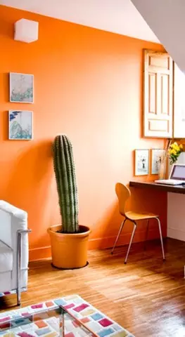 Гули cacti ва cacti оддӣ дар дохили ва ғамхорӣ барои онҳо (36 сурат)