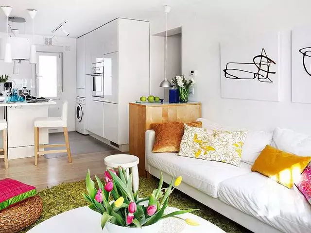 Redevelopment ng one-bedroom apartment