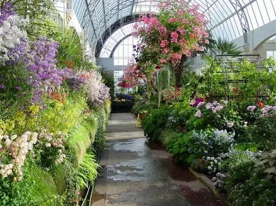 Hur man gör ett växthus där det är placerat och hur man tar hand om växter