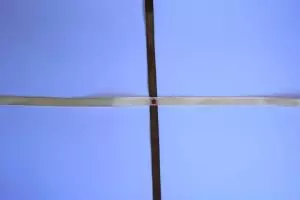 Ribbons: Mga laraw sa paghabol alang sa mga nagsugod sa mga litrato ug video