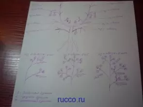 Árbol genealógico con sus propias manos de las palmas: clase magistral con foto