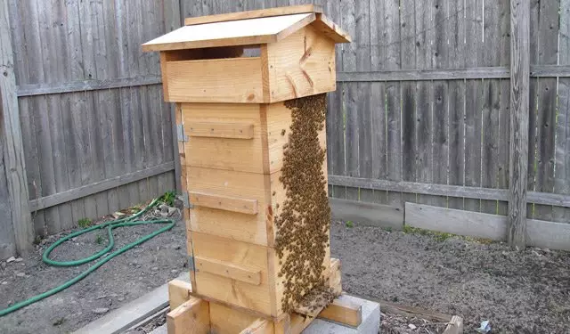 Making hives do it yourself sizes drawings video - how to make