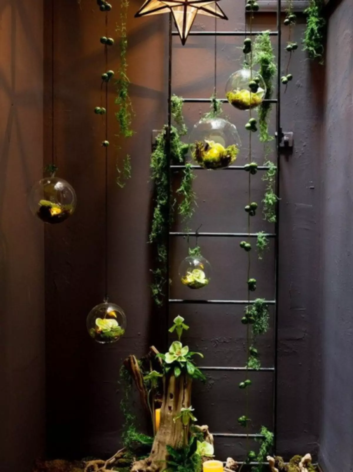 Bimët ajrore: Çfarë është, kujdes dhe ide të dekor të shtëpisë (50 foto)
