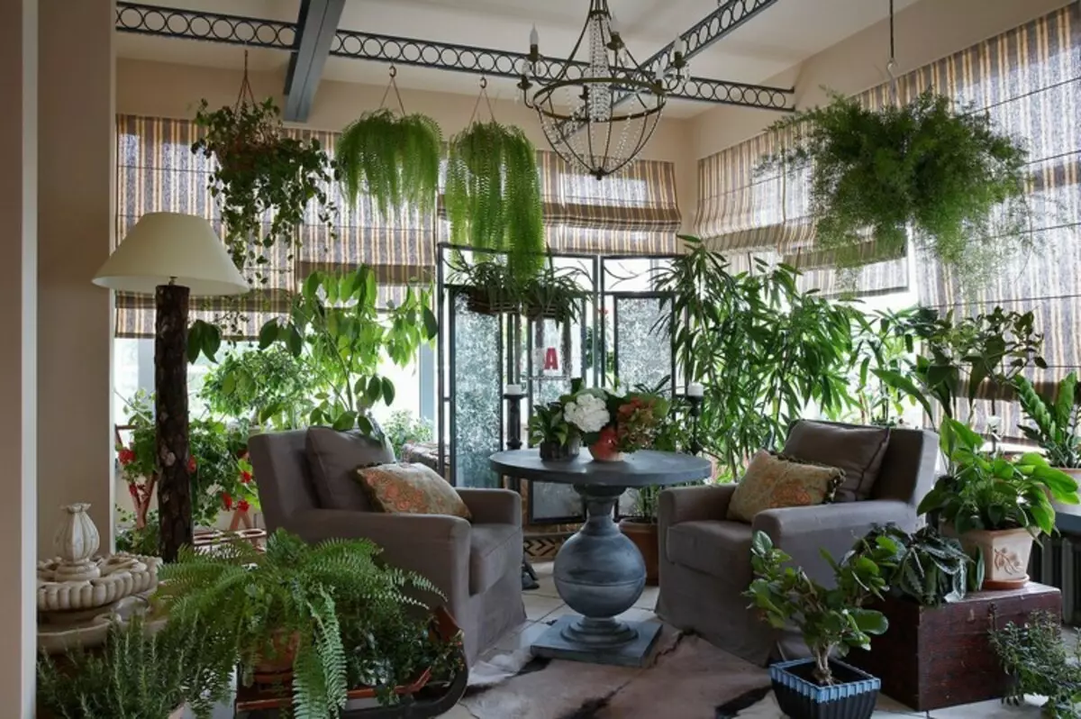 Kopshti nga bimët e dhomës në apartament: më afër natyrës në shtëpi (37 foto)