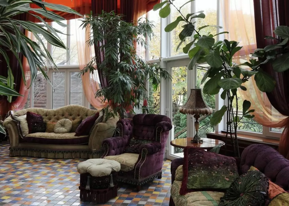 Kopshti nga bimët e dhomës në apartament: më afër natyrës në shtëpi (37 foto)