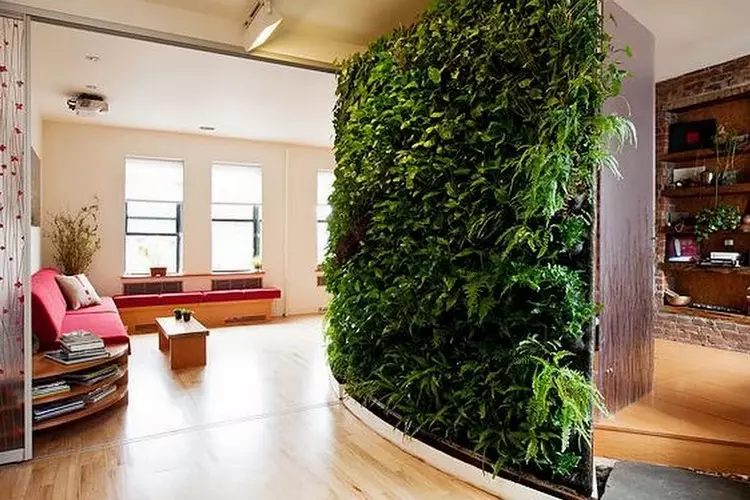 Jardí de plantes d'habitació a l'apartament: Més a prop de la natura a casa (37 fotos)