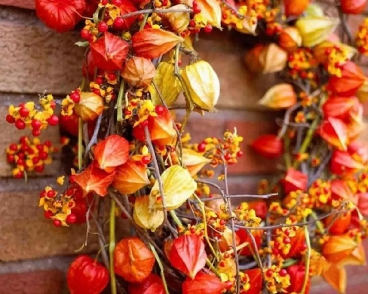 Herfst giften van de natuur en ambachten van hen met kinderen en voor thuis (35 foto's)