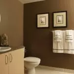 Mitä palkka-seinät kylpyhuoneessa: suosittuja vaihtoehtoja