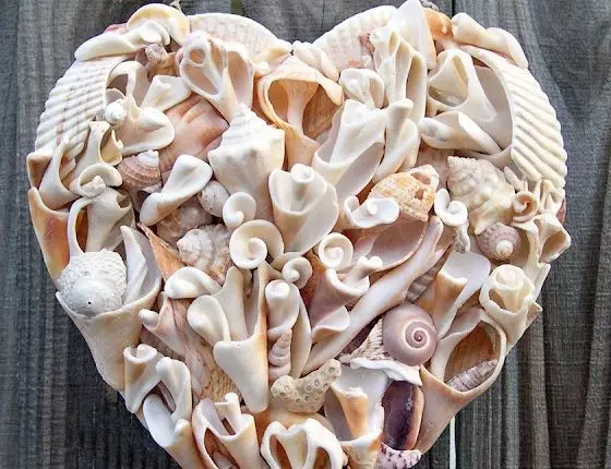 Seashells படம் நீங்களே செய்ய: புகைப்படம் மாஸ்டர் வர்க்கம்