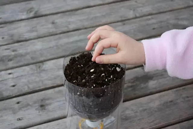 Ideje za vrtlarstvo plastičnih boca s vlastitim rukama s fotografijama