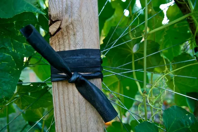 Malingaliro a dimba la mabotolo apulasitiki ndi manja anu okhala ndi zithunzi