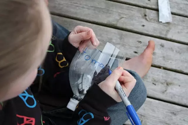 Idea untuk berkebun botol plastik dengan tangan anda sendiri dengan foto