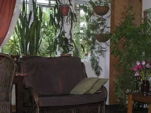 Kotiček za notranjo rastline v apartmaju