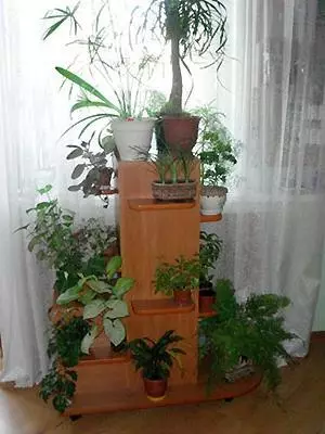 Kutak zatvorenih biljaka u apartmanu