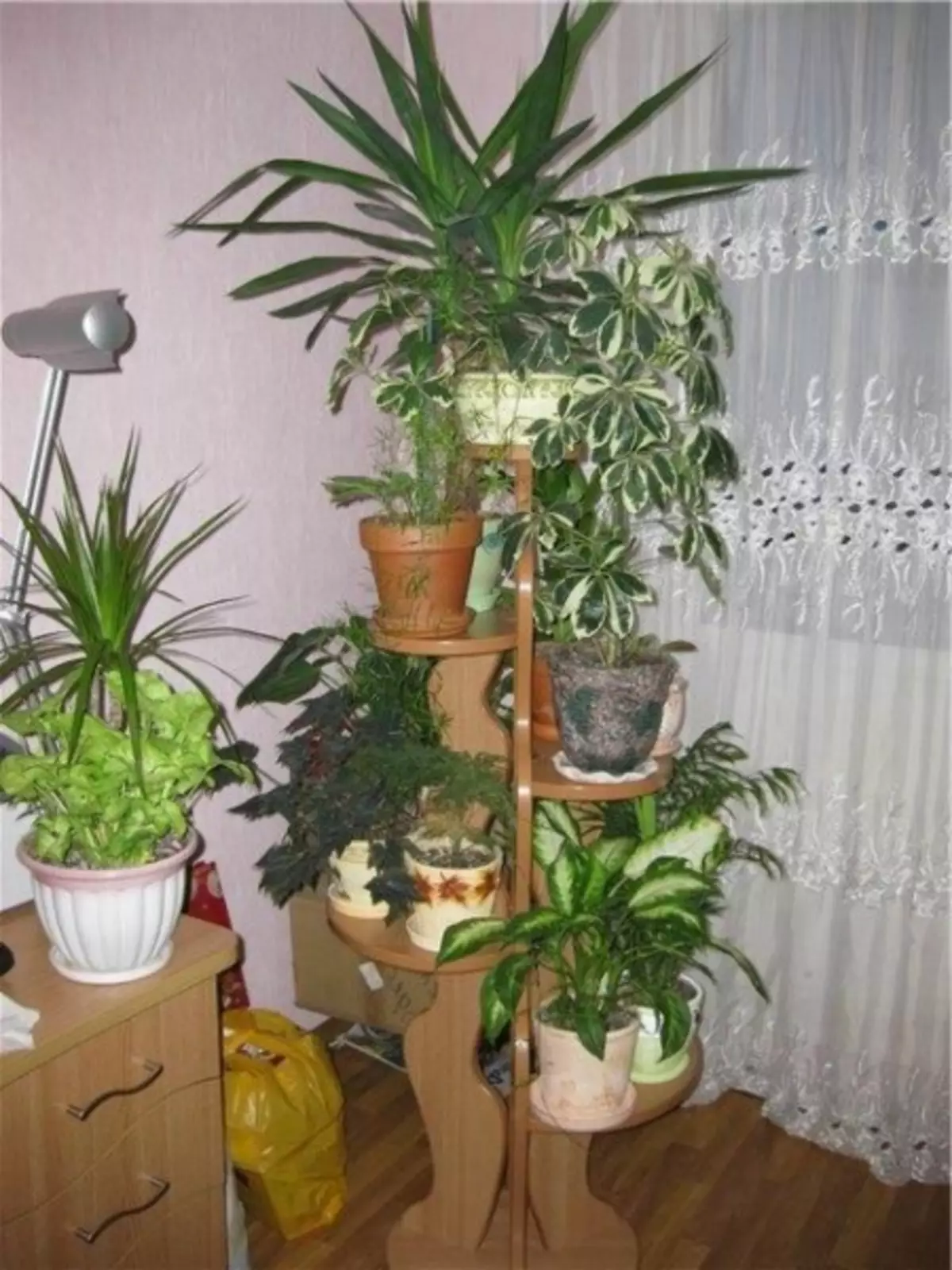Kutak zatvorenih biljaka u apartmanu