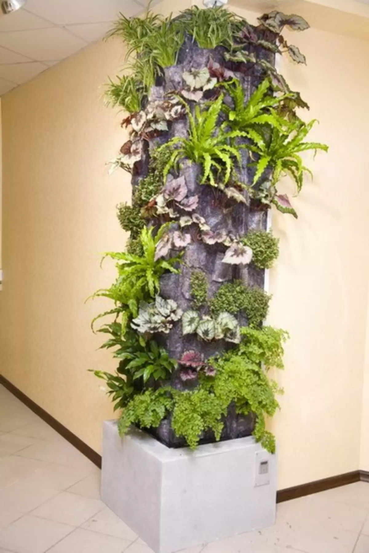 Canto de plantas internas no apartamento