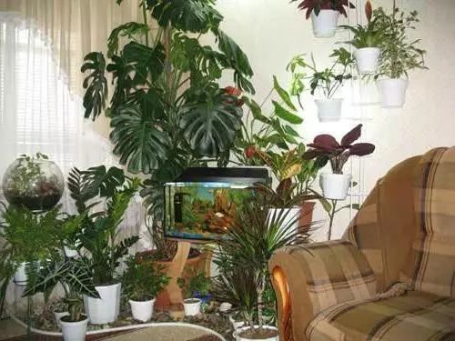 Sudut tanaman indoor di apartemen