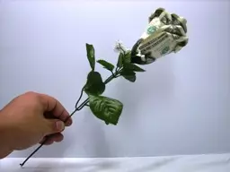 Blumen aus Geld und Banknoten tun es selbst