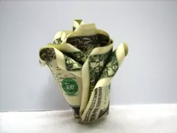 Virágok a pénzből és a bankjegyekből