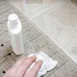 如何从地毯中拆下蜡或石蜡：有效的去除方法